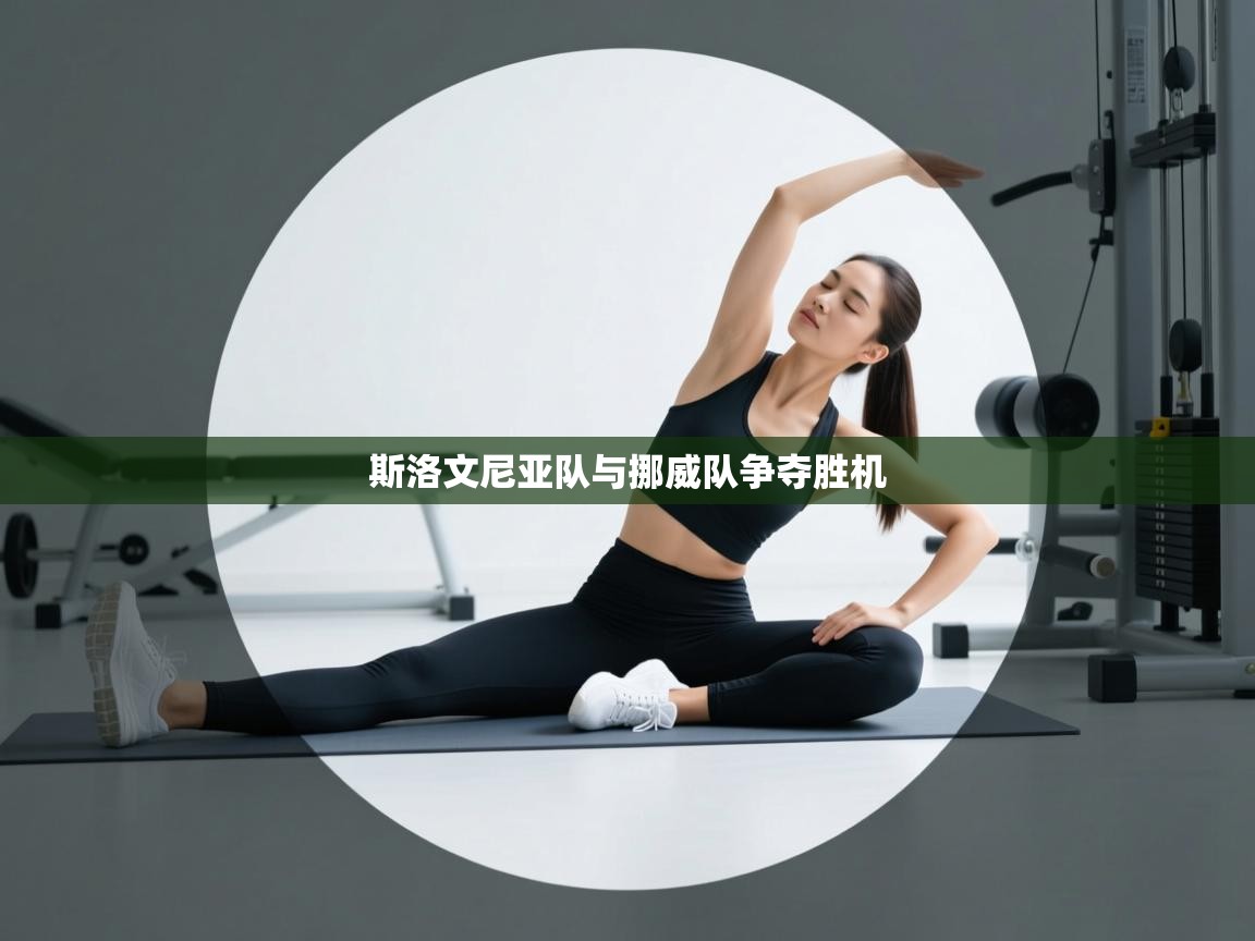 斯洛文尼亚队与挪威队争夺胜机  第1张